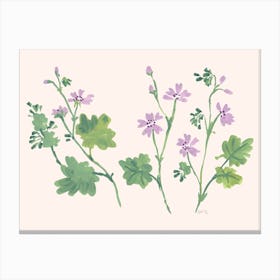 Little Violets Canvas Print