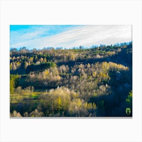 Aerial View Of A Forest 20230415190564pub Canvas Print