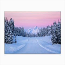 Snowy Tetons Canvas Print