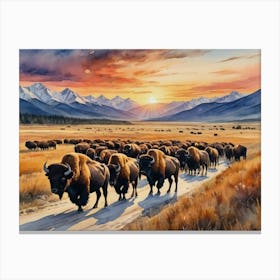 Wild Grasslands Herd Of Bison Canvas Print