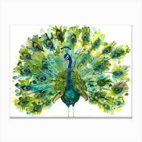 Peacock 22 Canvas Print