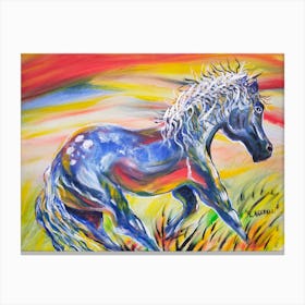 free Horse acrylic painting  Canvas Print