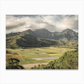 Hawaii Farm Canvas Print