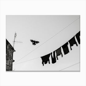 Fly People Fly Canvas Print