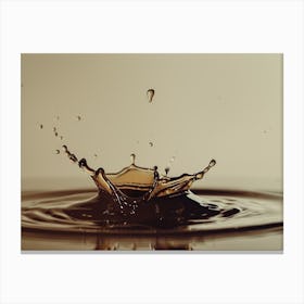 Water Drop Canvas Print