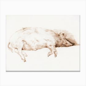 Lying Pig 2, Jean Bernard Canvas Print
