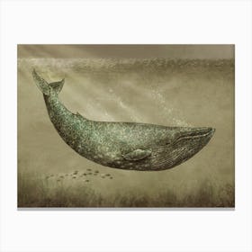 The Damask Whale Canvas Print