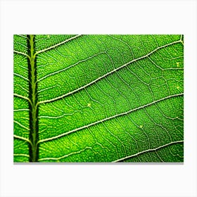 Leaf Texture 1 Canvas Print