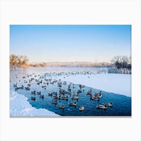 Flock Of Ducks And Geese Mingling On A Frozen Pond Display Of Avian Diversity Amidst The Wintry Spl Canvas Print