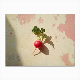 Radish On A Wall Canvas Print