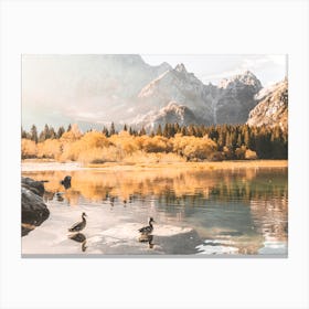 Ducks Morning Swiming, Italian Alps Canvas Print