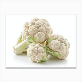 Cauliflower On White Background 2 Canvas Print