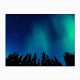 Aurora neon landscape #3 Canvas Print