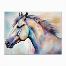 White Horse 12 Canvas Print