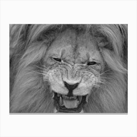 Lion Portrait 1 Canvas Print