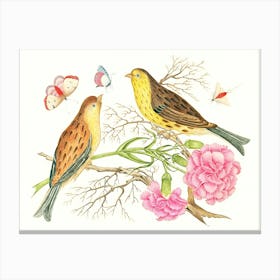 Two Birds On A Branch Canvas Print