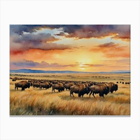 Herd Of Bison At Sunset Canvas Print