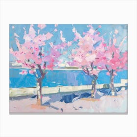 Cherry Blossoms 43 Canvas Print