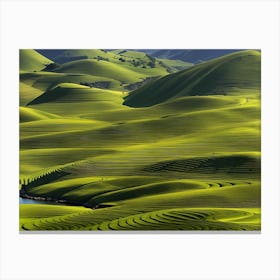 Green Rice Fields Canvas Print