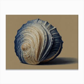 Clam Shell Hamptons style Canvas Print