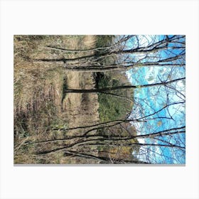 Woods Canvas Print