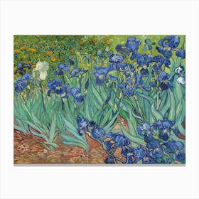 Vincent Van Gogh, Irises, Les Iris, 1889. Canvas Print