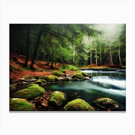 Mossy Forest 1 Canvas Print