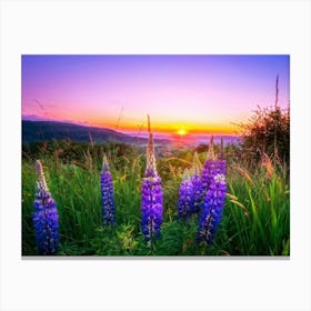 A Bright Sunrise Casting A Luminescent Glow On A Lush Countryside Garden During Summer Awash With P (1) Canvas Print