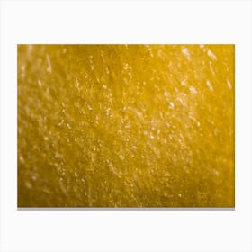 Yellow Pepper Kernel Under The Microscope Canvas Print