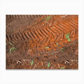 Texture Of Brown Mud With Tractor Tyre Tracks 1 Canvas Print
