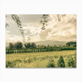 Tuscany Fields Canvas Print