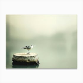 Seagull On A Stump Canvas Print