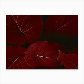 Red Leaves Canvas Print Leinwandbild