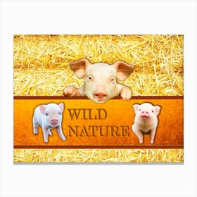 WILD NATURE - DEAR PIGGY design collection Canvas Print