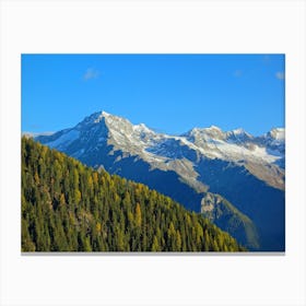 Alpine Forest Canvas Print