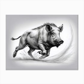 Charging Boar Canvas Print