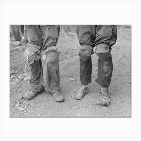 Cotton Pickers With Knee Pads, Lehi, Arkansas By Russell Lee Canvas Print