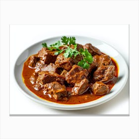 Plate Of Beef Curry Canvas Print