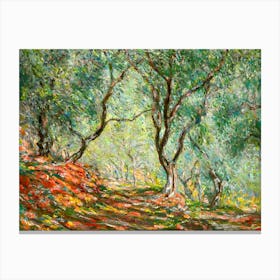 Claude Monet, Olive Tree Wood in the Moreno Garden, 1884 HD Original Reproduction - Immaculate Vibrant Canvas Print