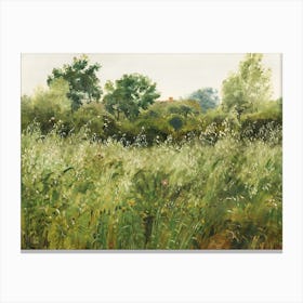 Meadow 2 Canvas Print