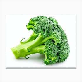 Broccoli On A White Background 1 Canvas Print