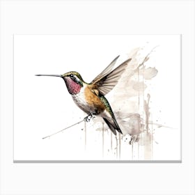 Kolibri Hummingbird - Water Color Painting 10 Canvas Print