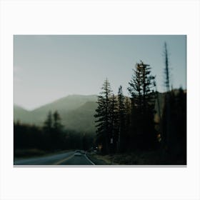 The Way Home Canvas Print