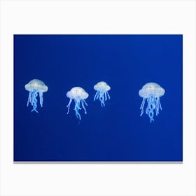Bright Blue Floating Jellyfish Canvas Print