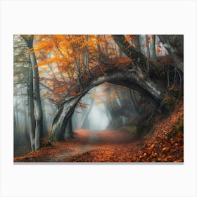 Autumn Forest 21 Canvas Print