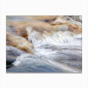Rushing Water Landscape Canvas Print