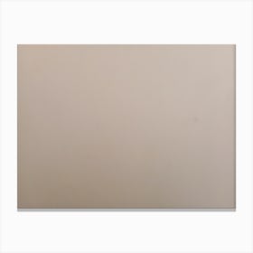 White Solid background with a small amount of gradient Canvas Print
