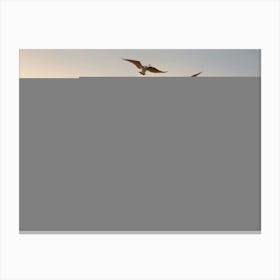 Chill farm Canvas Print