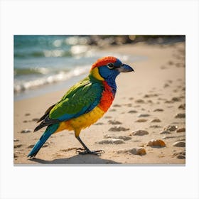 Beautiful Bird On A Sunny Beach 2 Of 3 Canvas Print