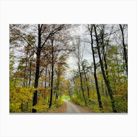 Autumn Road 17 Canvas Print